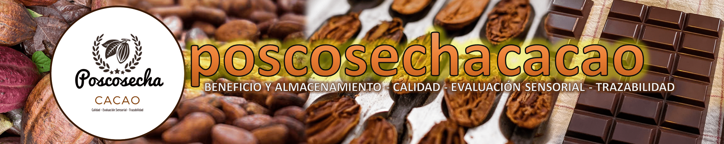 Poscosecha Cacao